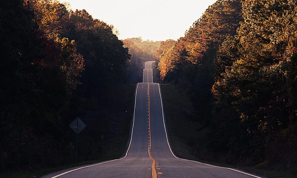An empty road running straight through autumn woods into the distance