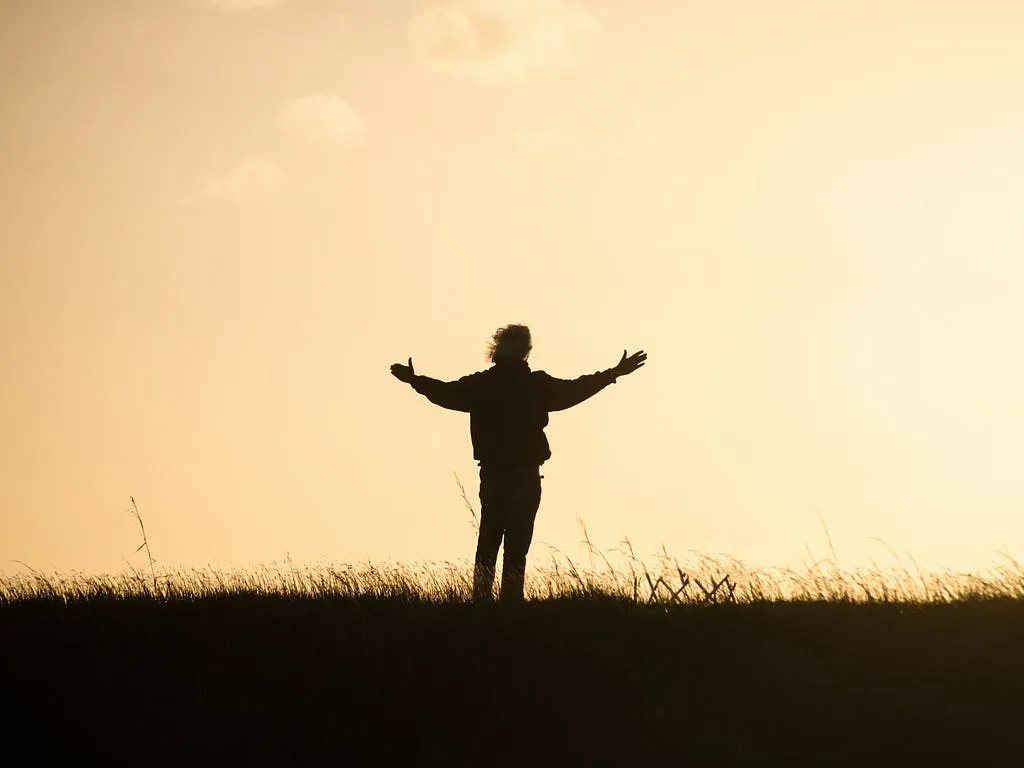 Silhouette of a person with arms outstretched in a field at sunset